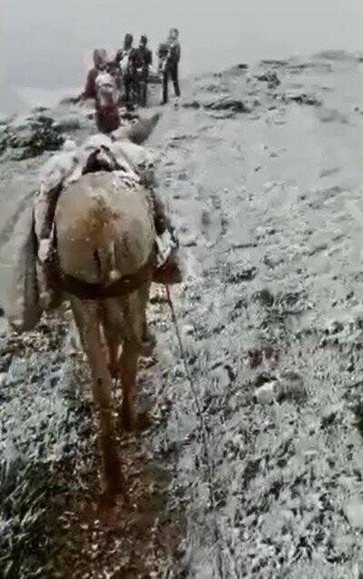 Dağa pancar toplamaya giden köylüler tipiye yakalandı