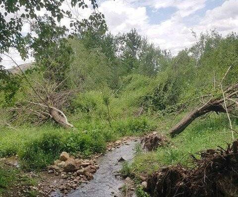 Sel suları meyve ağaçlarını vurdu