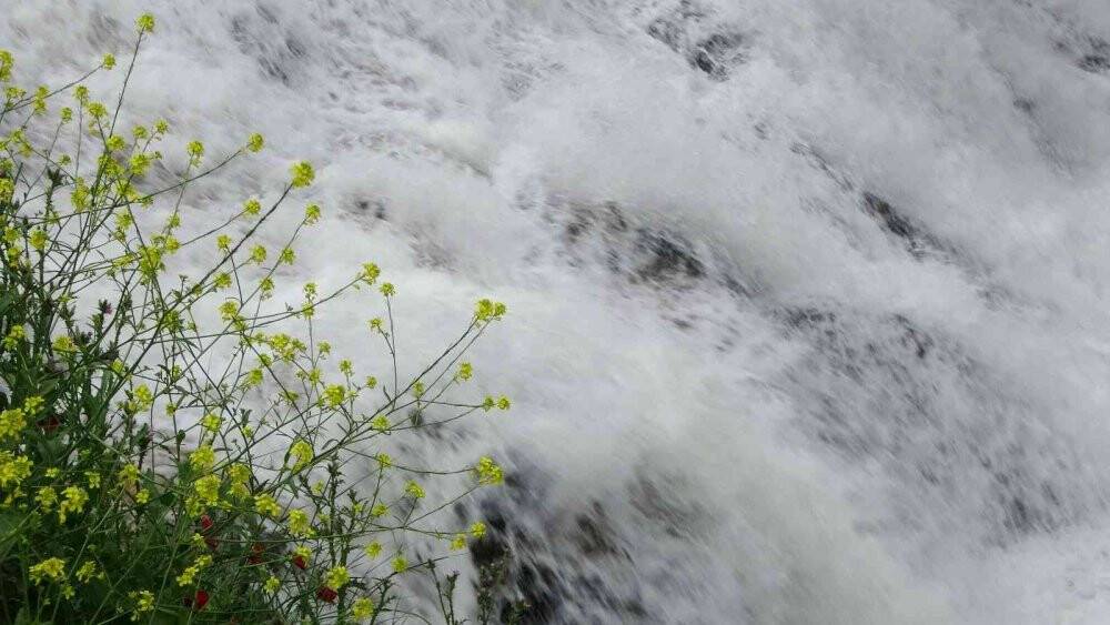 Şiddetli sağanakla birlikte debisi artan şelale görsel şölen sundu