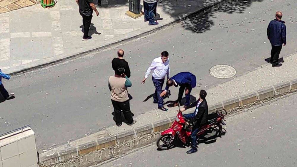Vatandaşa saldıran sokak köpekleri belediye tarafından toplatıldı