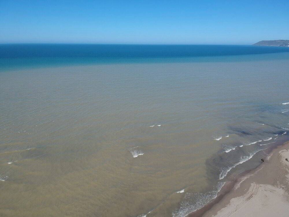 Taşkın sonrası Sinop kıyıları çamura büründü