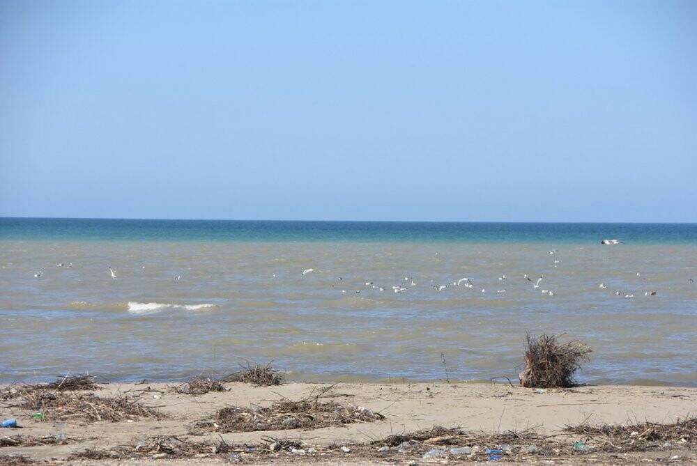 Taşkın sonrası Sinop kıyıları çamura büründü