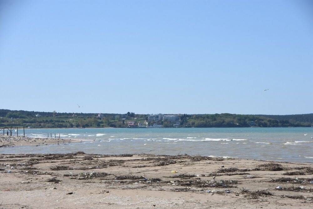 Taşkın sonrası Sinop kıyıları çamura büründü