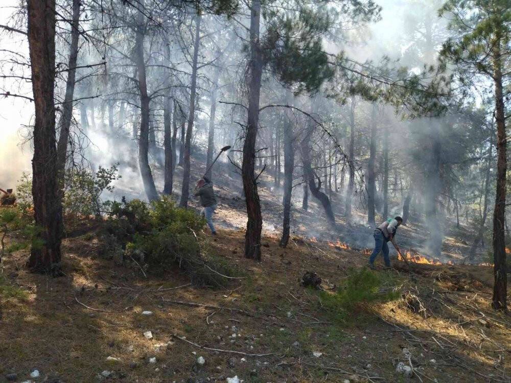 Pamukkale’de 1 günde 2 orman yangını