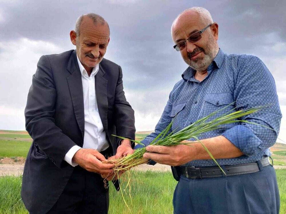 Konya Ovası'nda çiftçilerin gözü son yağışlarda