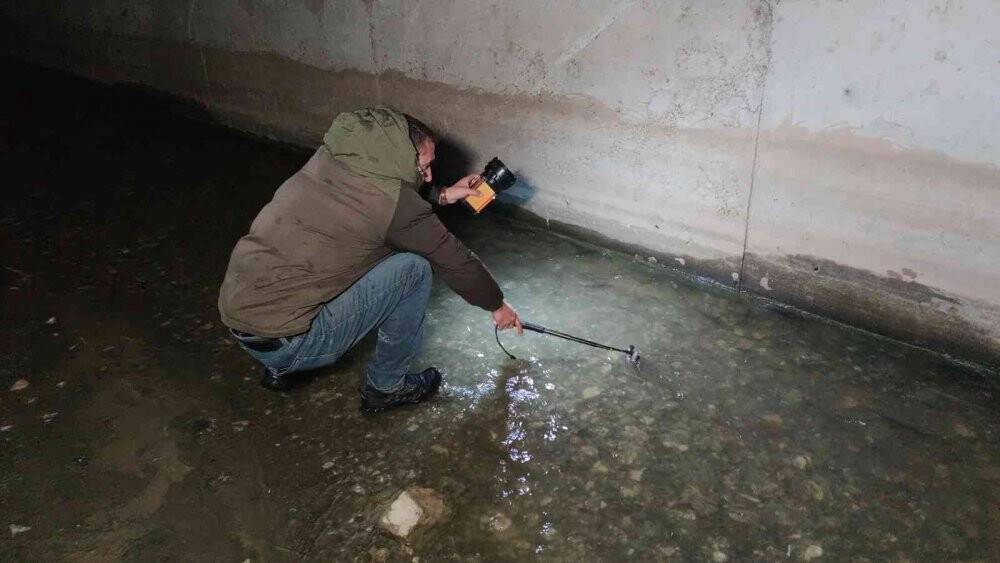 İnci kefalinin muhteşem gece yolculuğu devam ediyor