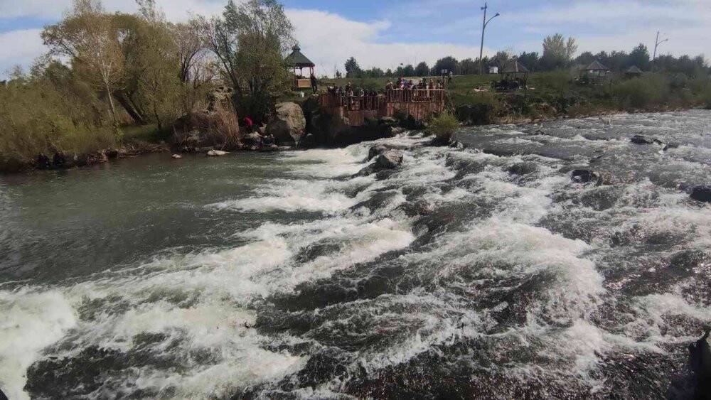 Uçan balıklar izleyenlere görsel şölen sunuyor