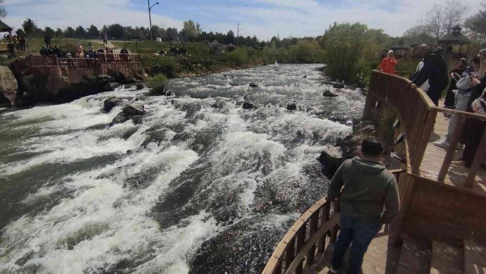 Uçan balıklar izleyenlere görsel şölen sunuyor