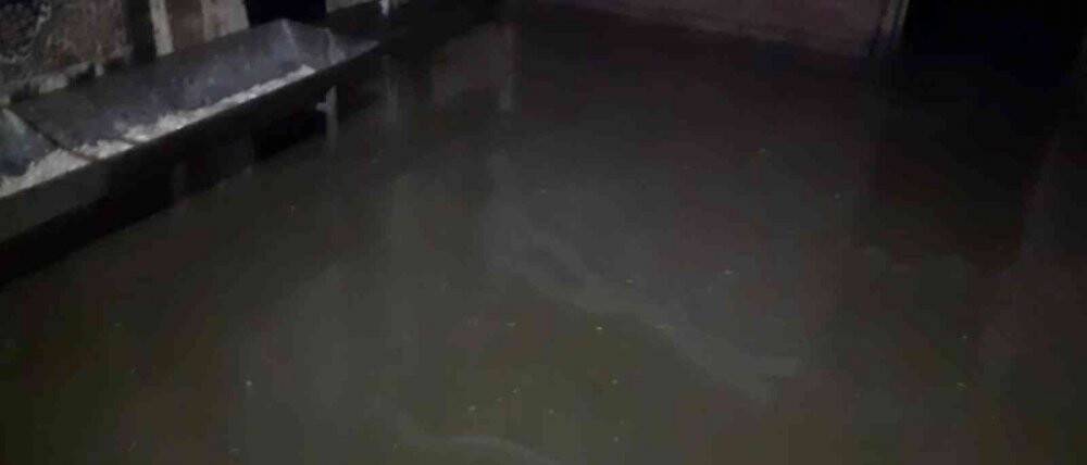 Elazığ’da sağanak yağış sonrası ahırları su bastı