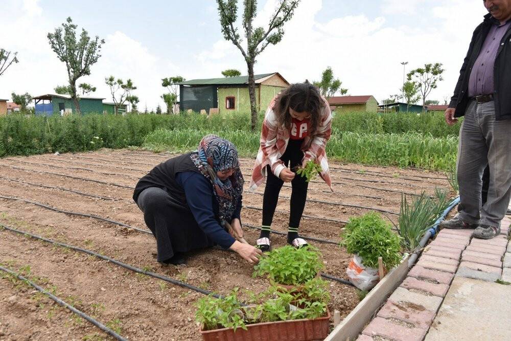Karatay Hobi Bahçelerinin sakinleri ekim sezonunu açtı