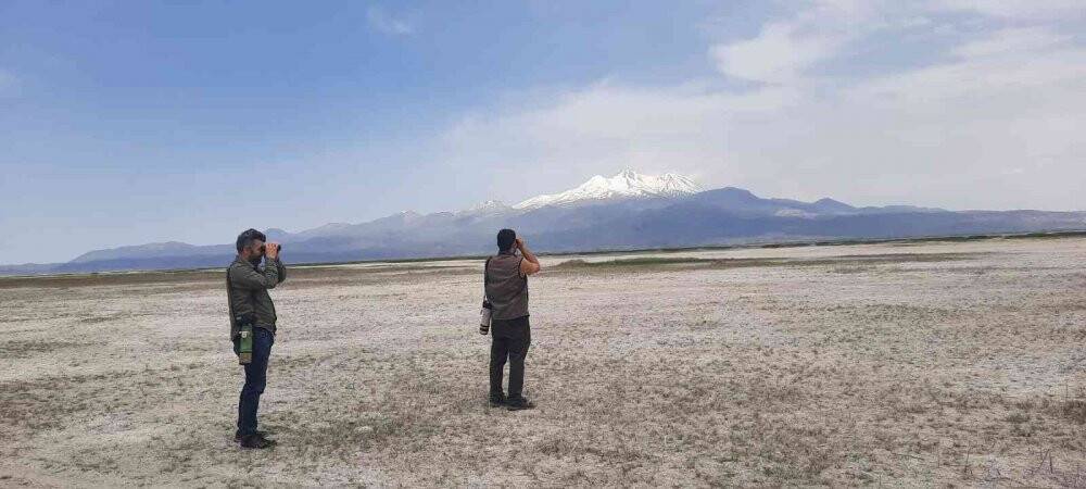 Sultan Sazlığı ve Aladağlarda 139 kuş türü tespit edildi