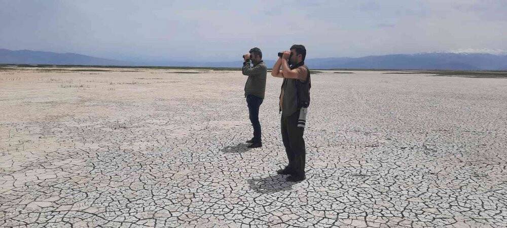 Sultan Sazlığı ve Aladağlarda 139 kuş türü tespit edildi