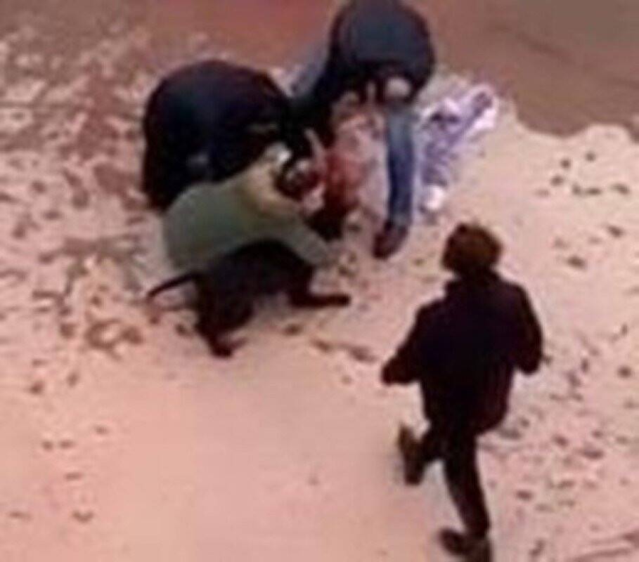 Pitbul vahşetinde tutuklu sanıklar tahliye edildi