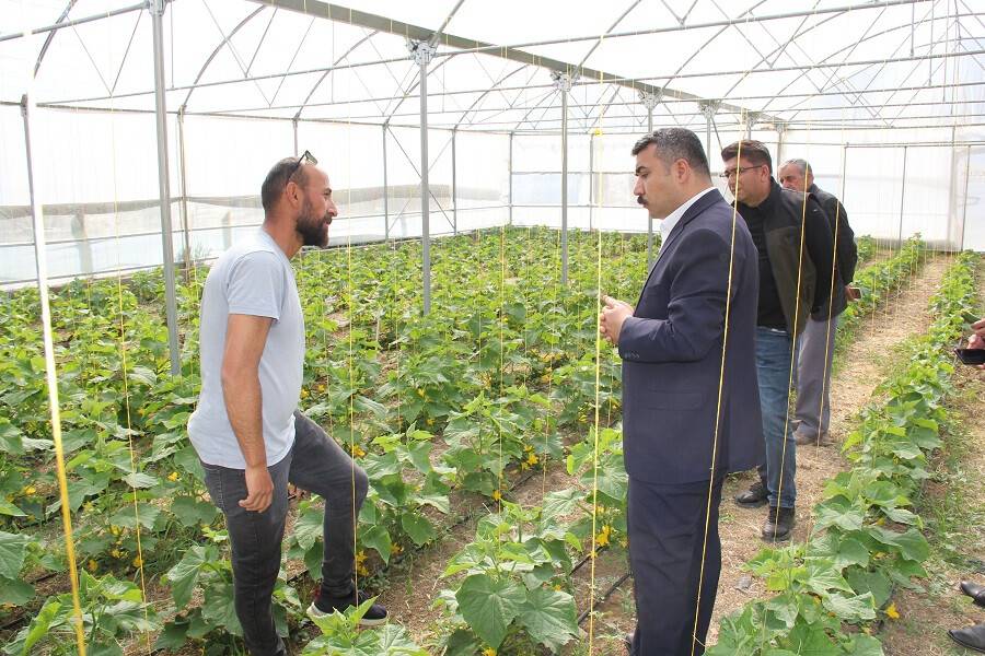 aa-20220518-27897949-27897948-yalihuyukte-9-bin-ada-cayi-fidani-dikildi.jpg