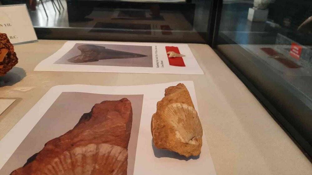 Jandarmanın ele geçirdiği tarihi eserler müzede sergileniyor