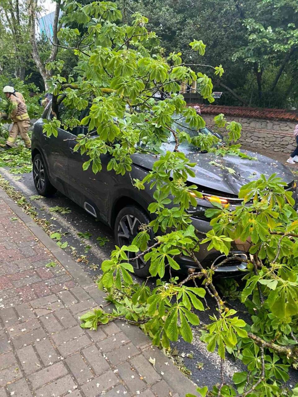 Üsküdar’da seyir halindeki araçların üzerine ağaç devrildi