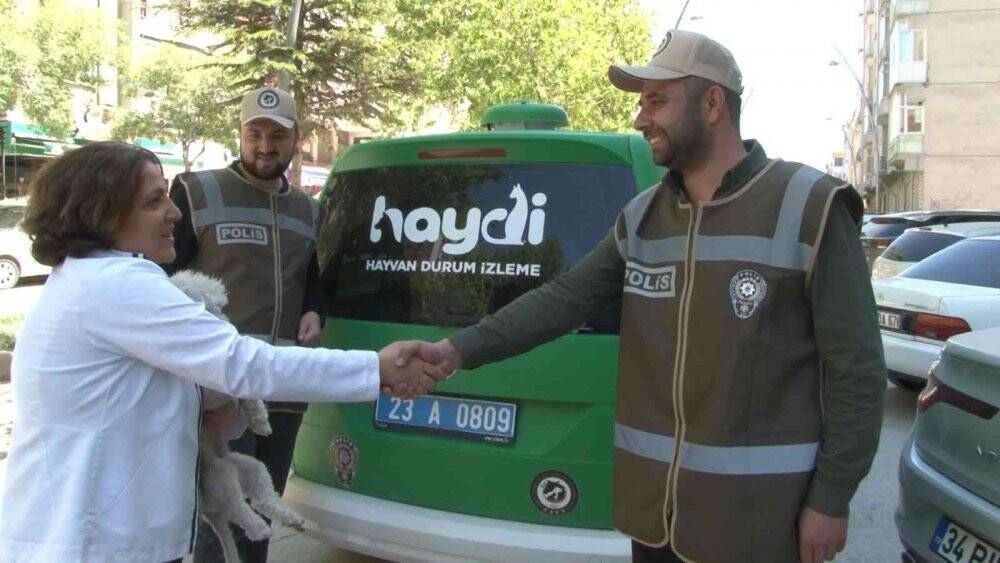 Aracıyla ezdiği kediyi ölüme terk eden şahsa ceza