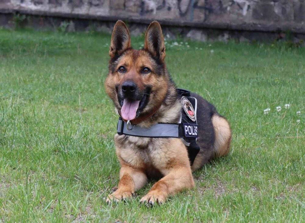 Kayıp şahısların izini böyle sürüyor