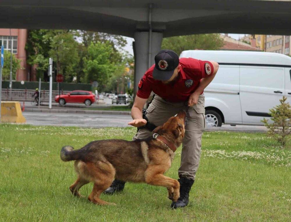 Kayıp şahısların izini böyle sürüyor