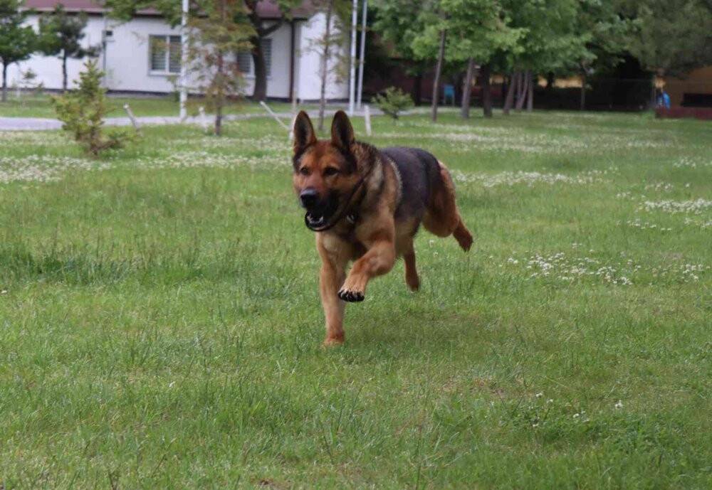 Kayıp şahısların izini böyle sürüyor