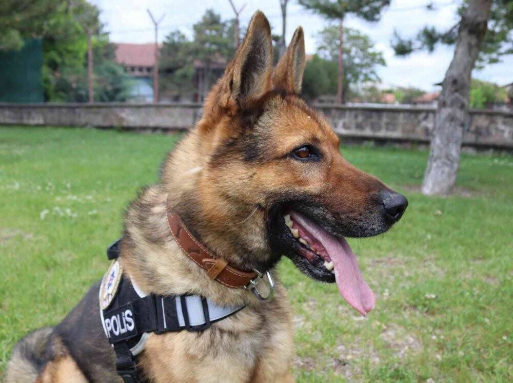 Kayıp şahısların izini böyle sürüyor