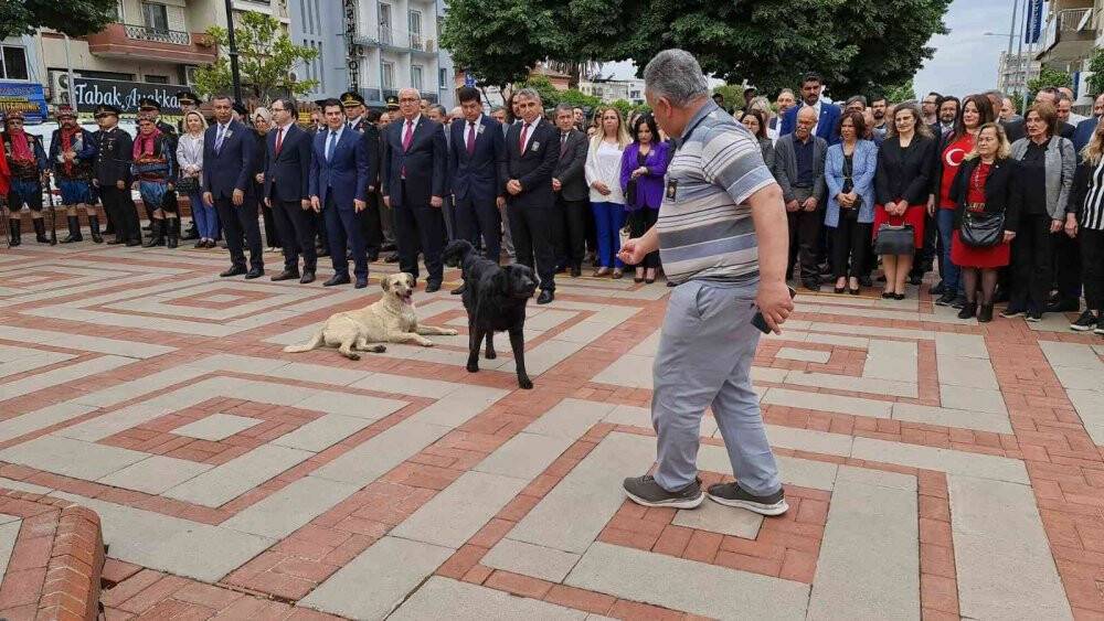 Protokolün sokak köpekleriyle imtihanı