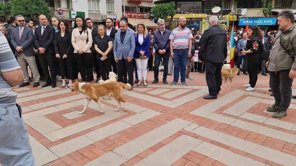 Protokolün sokak köpekleriyle imtihanı