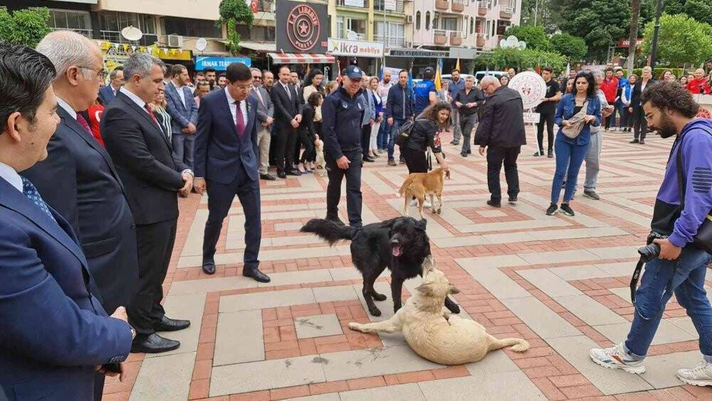 Protokolün sokak köpekleriyle imtihanı