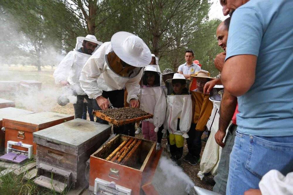 Dünya çam balının merkezinde ‘Arı Günü’ etkinliklerle kutlandı