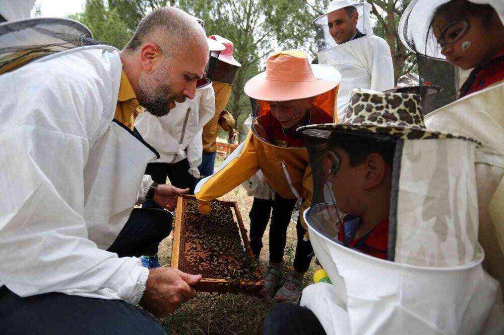 Dünya çam balının merkezinde ‘Arı Günü’ etkinliklerle kutlandı