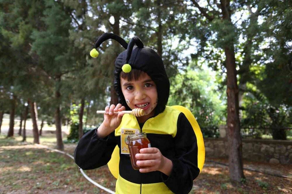 Dünya çam balının merkezinde ‘Arı Günü’ etkinliklerle kutlandı