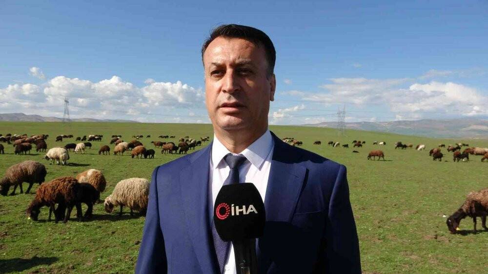 Muş, bölgenin hayvancılık merkezi haline geliyor