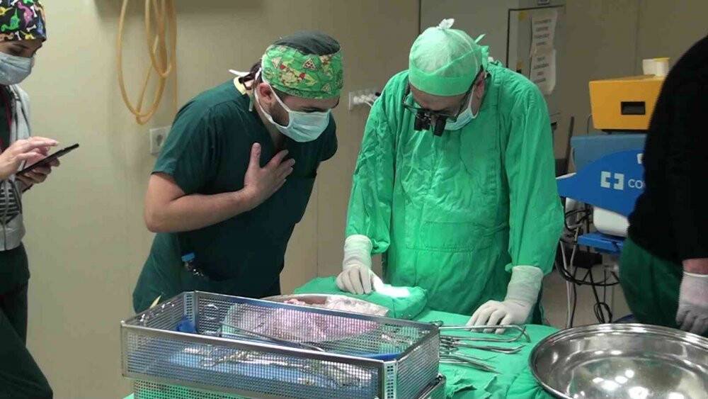Oğlundan aldığı karaciğer ile hayata tutundu