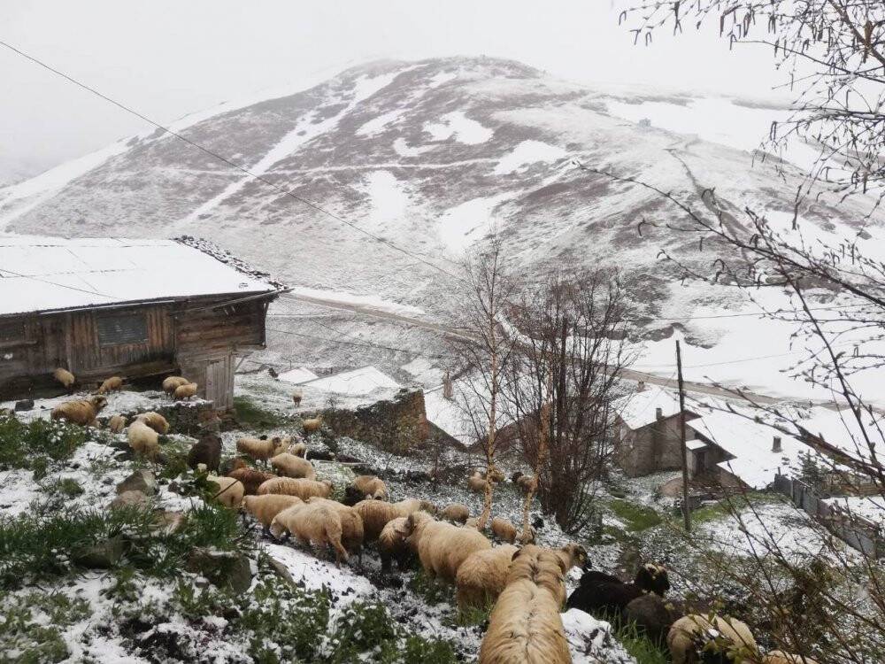 Mayısta kar yağdı