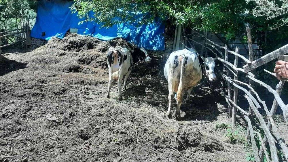 Osmaniye’de köylülerden ucuz süt fiyatına tepki