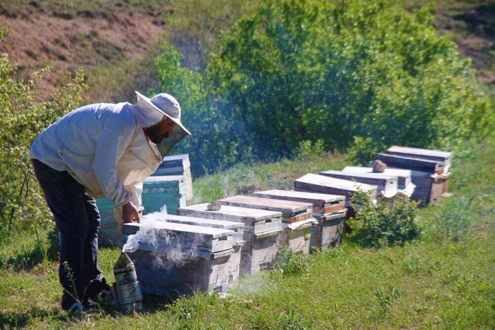 Yağışlar arıcıları da sevindirdi, rekoltede yükseliş bekleniyor
