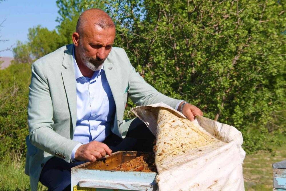 Yağışlar arıcıları da sevindirdi, rekoltede yükseliş bekleniyor