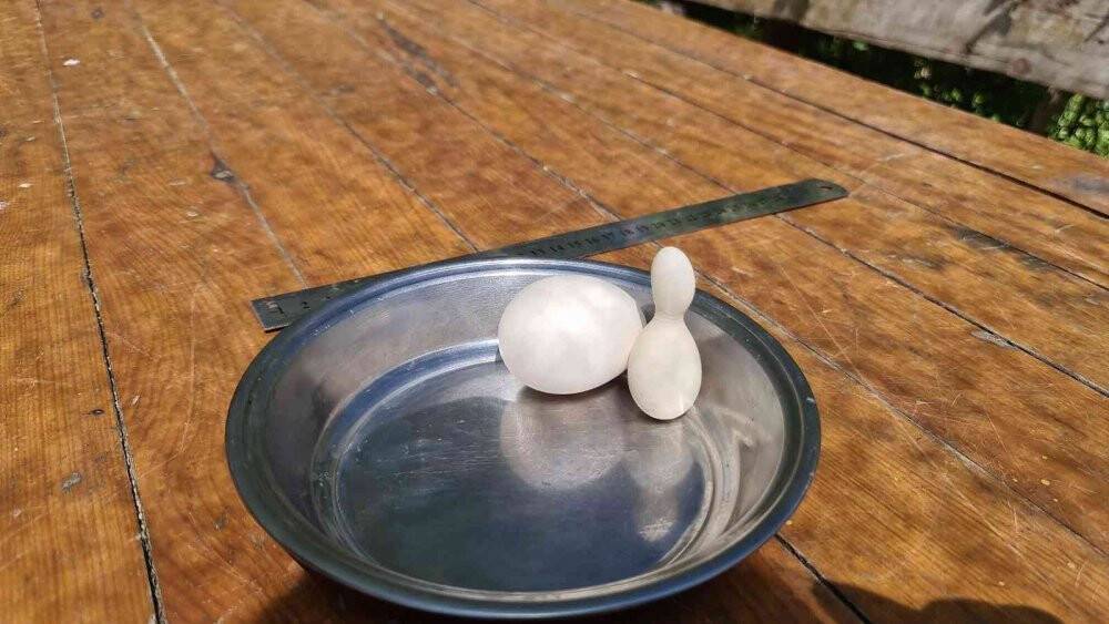 Kümesteki yumurtayı görünce neye uğradığını şaşırdı