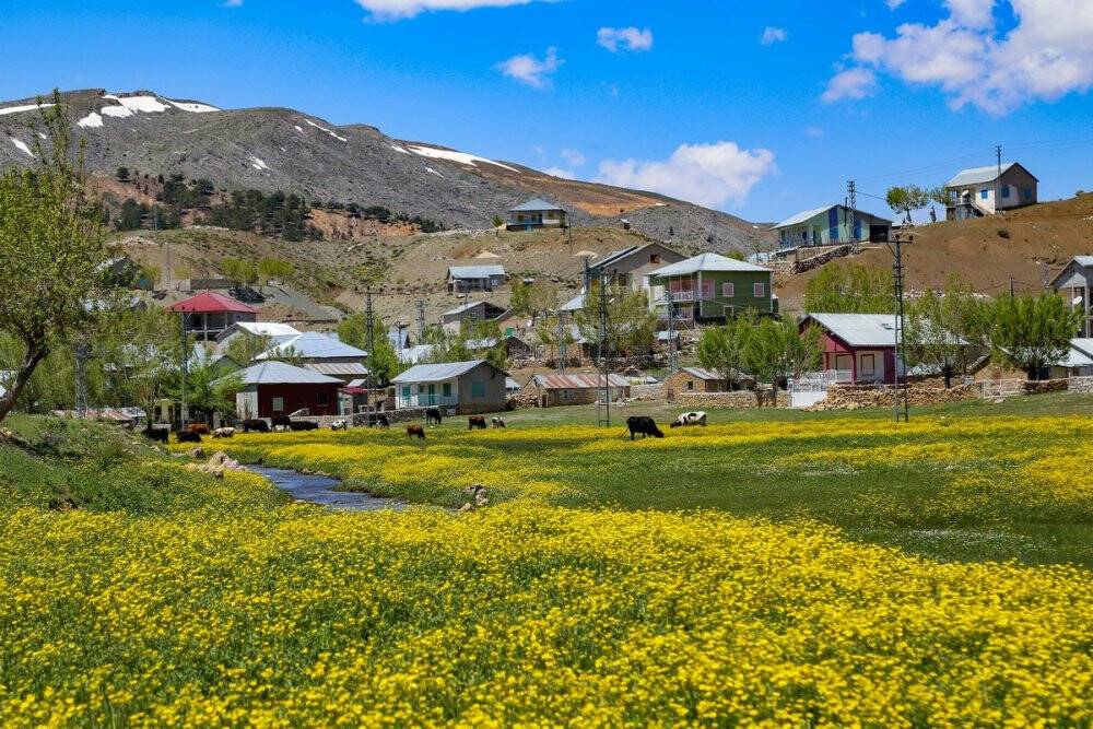 Toros Dağlarındaki yaylalar baharın tüm güzelliklerini sunuyor
