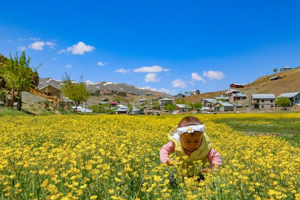 Toros Dağlarındaki yaylalar baharın tüm güzelliklerini sunuyor
