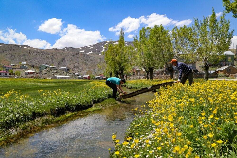 Toros Dağlarındaki yaylalar baharın tüm güzelliklerini sunuyor