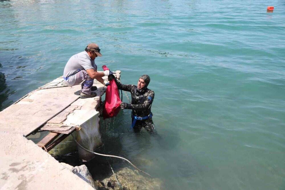 Deniz dibini 2 saatte pırıl pırıl yaptılar