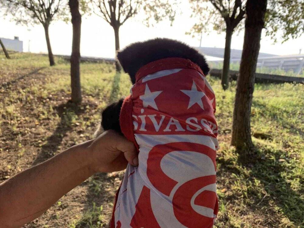 Türkiye Kupası finaline yavru köpeği ile geldi