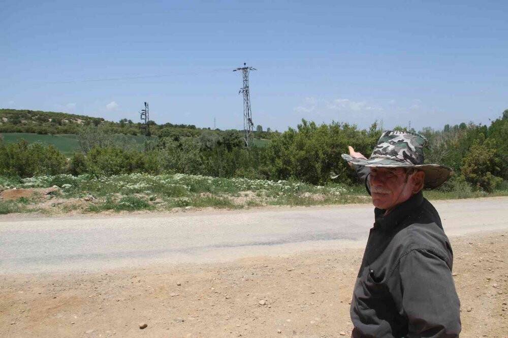 Yüksek gerilim hatlarına yuva yapan leylekler akıma kapılma tehlikesi yaşıyor