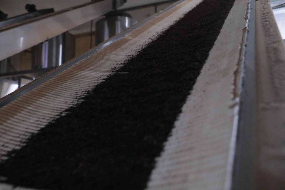 Özel sektör ÇAYKUR’un üzerinde fiyatla çay alıyor