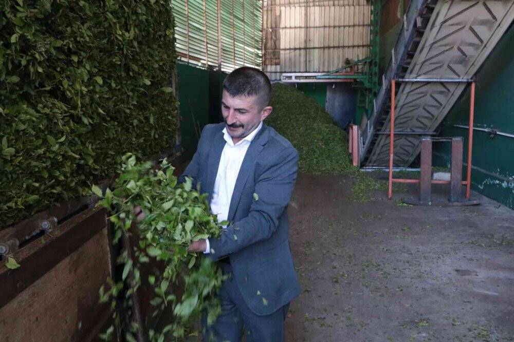 Özel sektör ÇAYKUR’un üzerinde fiyatla çay alıyor