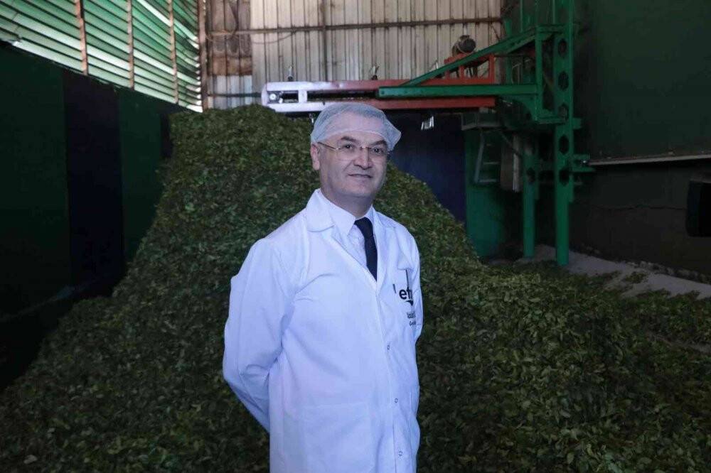 Özel sektör ÇAYKUR’un üzerinde fiyatla çay alıyor