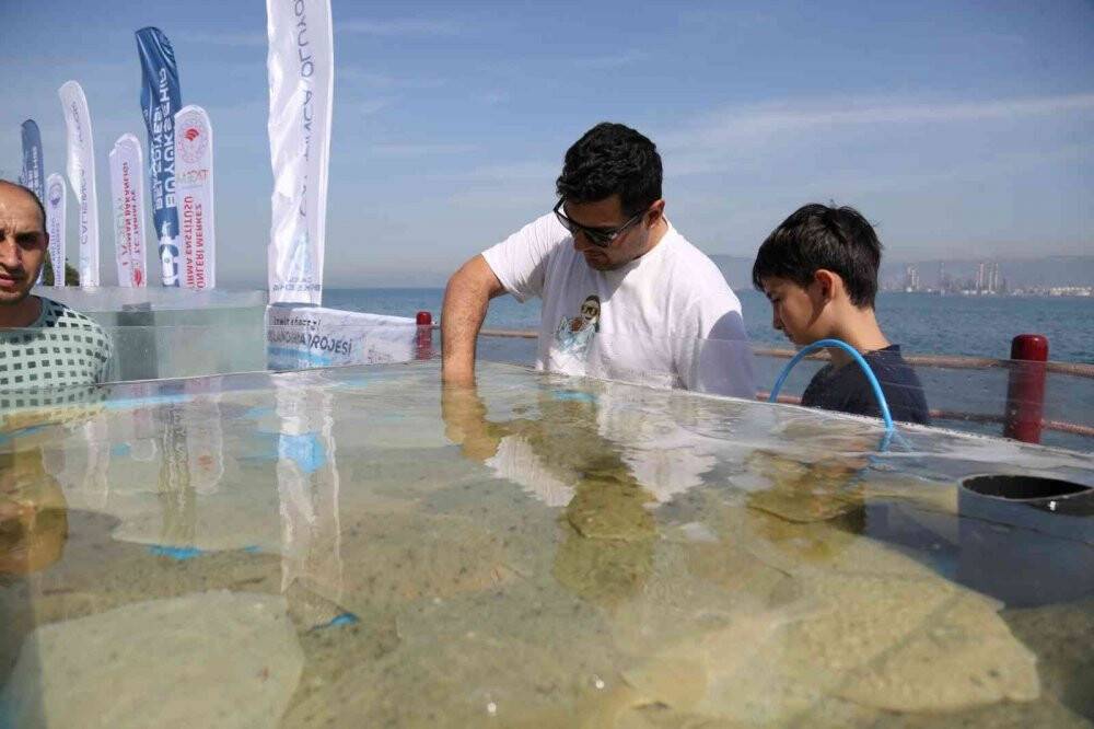 6 bin yavru balık İzmit Körfezi’ne salındı
