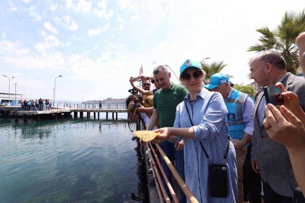 6 bin yavru balık İzmit Körfezi’ne salındı
