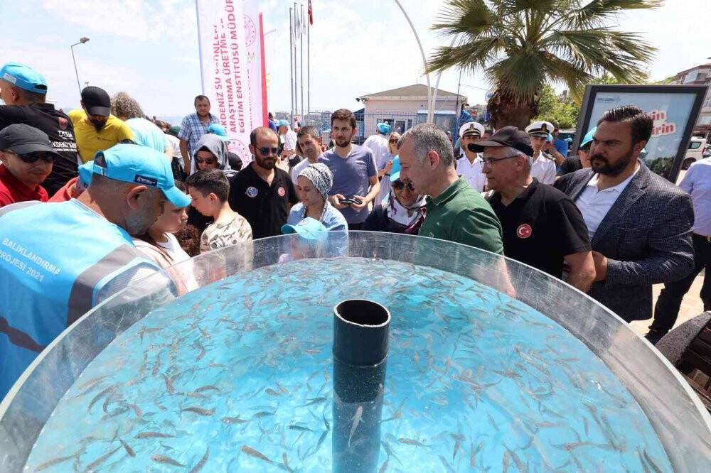 6 bin yavru balık İzmit Körfezi’ne salındı